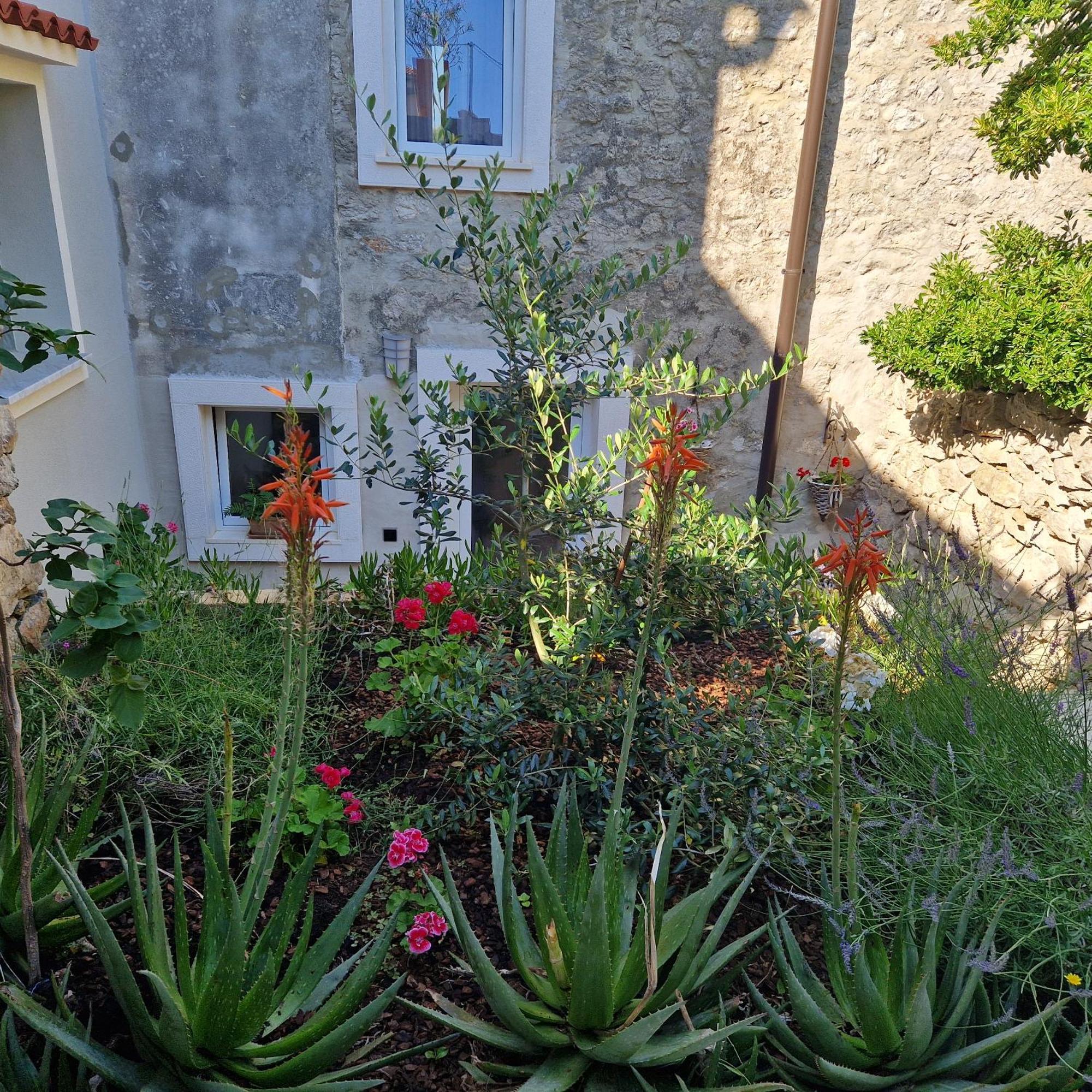 Castel Διαμέρισμα Mali Lošinj Εξωτερικό φωτογραφία